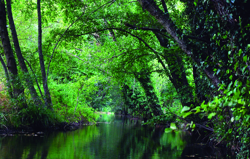 Alentejo Algarve